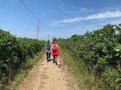 Heading inland for a bit, just after Eccles on Sea